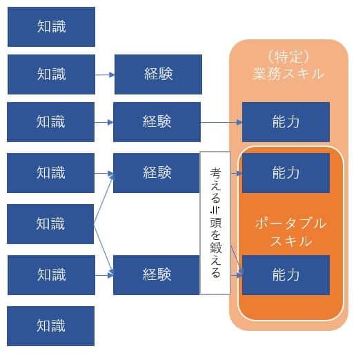 知識・経験と能力の関係性